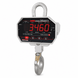 Crane Scales