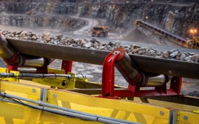 Cardinal Conveyor Belt Scale