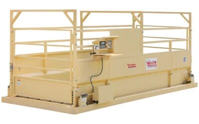 Cardinal Weight Wrangler Portable Livestock Scale